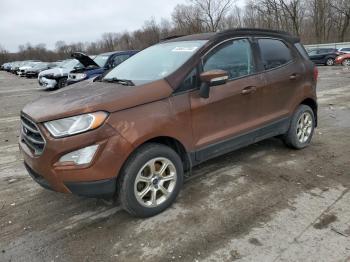  Salvage Ford EcoSport