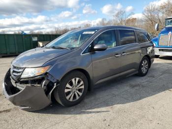  Salvage Honda Odyssey