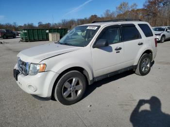  Salvage Ford Escape