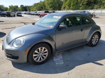  Salvage Volkswagen Beetle