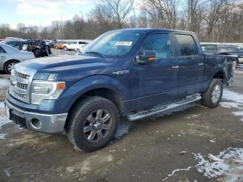  Salvage Ford F-150