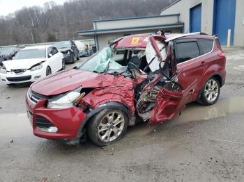  Salvage Ford Escape