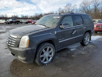  Salvage Cadillac Escalade