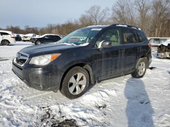  Salvage Subaru Forester