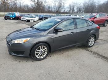  Salvage Ford Focus