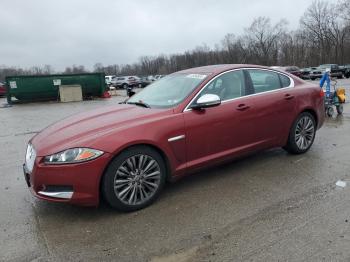  Salvage Jaguar XF