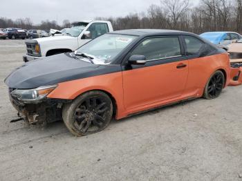  Salvage Toyota Scion