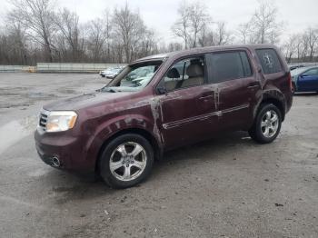  Salvage Honda Pilot