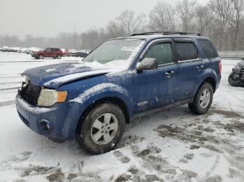  Salvage Ford Escape