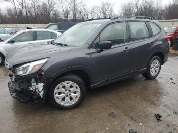  Salvage Subaru Forester