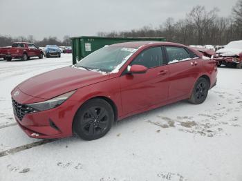  Salvage Hyundai ELANTRA