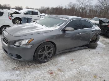  Salvage Nissan Maxima