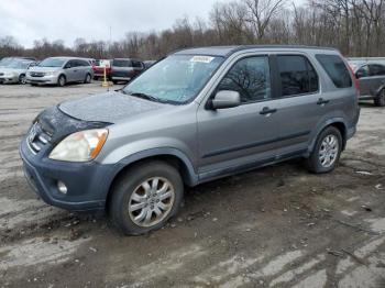  Salvage Honda Crv