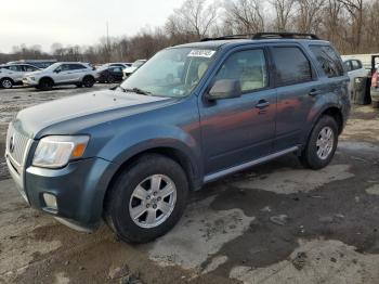  Salvage Mercury Mariner