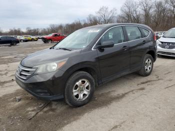  Salvage Honda Crv