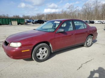  Salvage Chevrolet Malibu