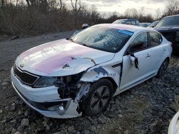  Salvage Kia Optima