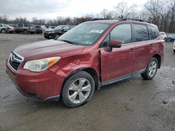  Salvage Subaru Forester