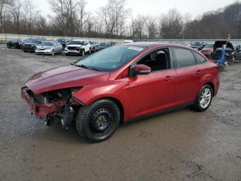  Salvage Ford Focus