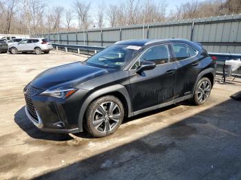  Salvage Lexus Ux