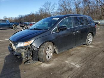  Salvage Honda Odyssey