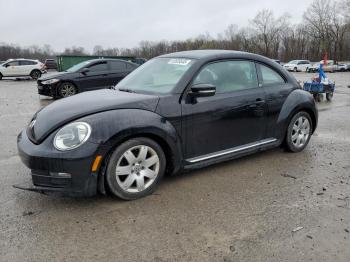  Salvage Volkswagen Beetle