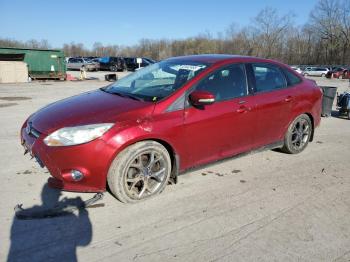  Salvage Ford Focus