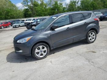  Salvage Ford Escape