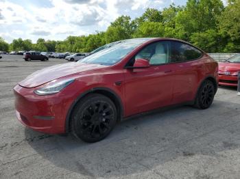  Salvage Tesla Model Y