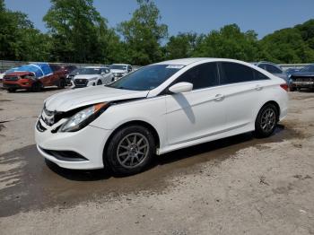  Salvage Hyundai SONATA