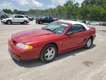  Salvage Ford Mustang