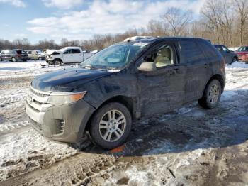  Salvage Ford Edge