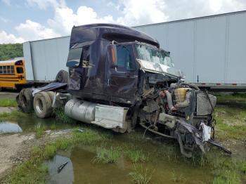  Salvage International Prostar