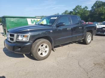  Salvage Dodge Dakota
