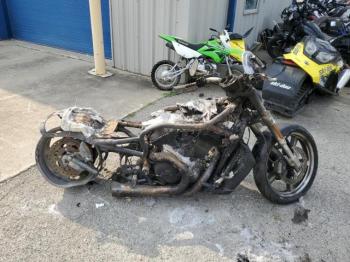  Salvage Harley-Davidson Vrs