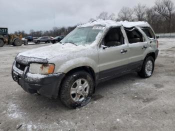  Salvage Ford Escape