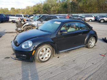  Salvage Volkswagen Beetle
