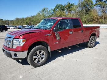  Salvage Ford F-150
