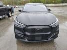 Ford Mustang Premium Image 2