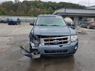 Ford Escape Xlt Image 7