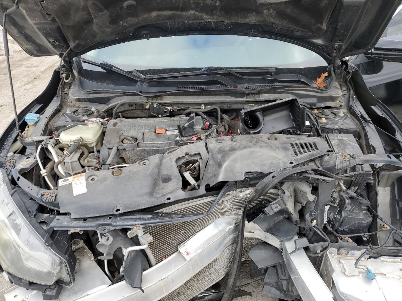 Honda Civic Lx Image 6