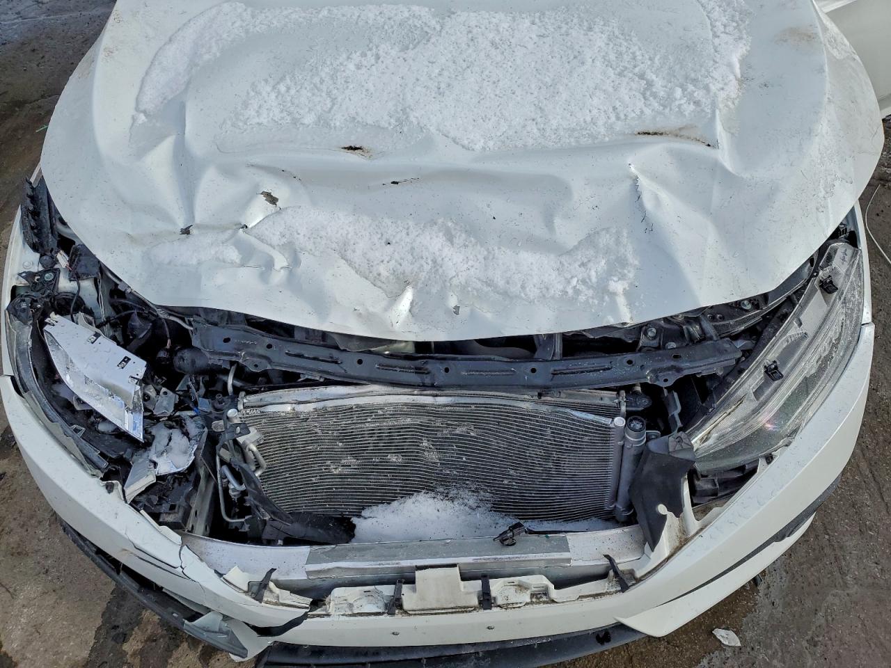 Honda Civic Touring Image 6