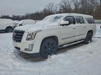  Salvage Cadillac Escalade