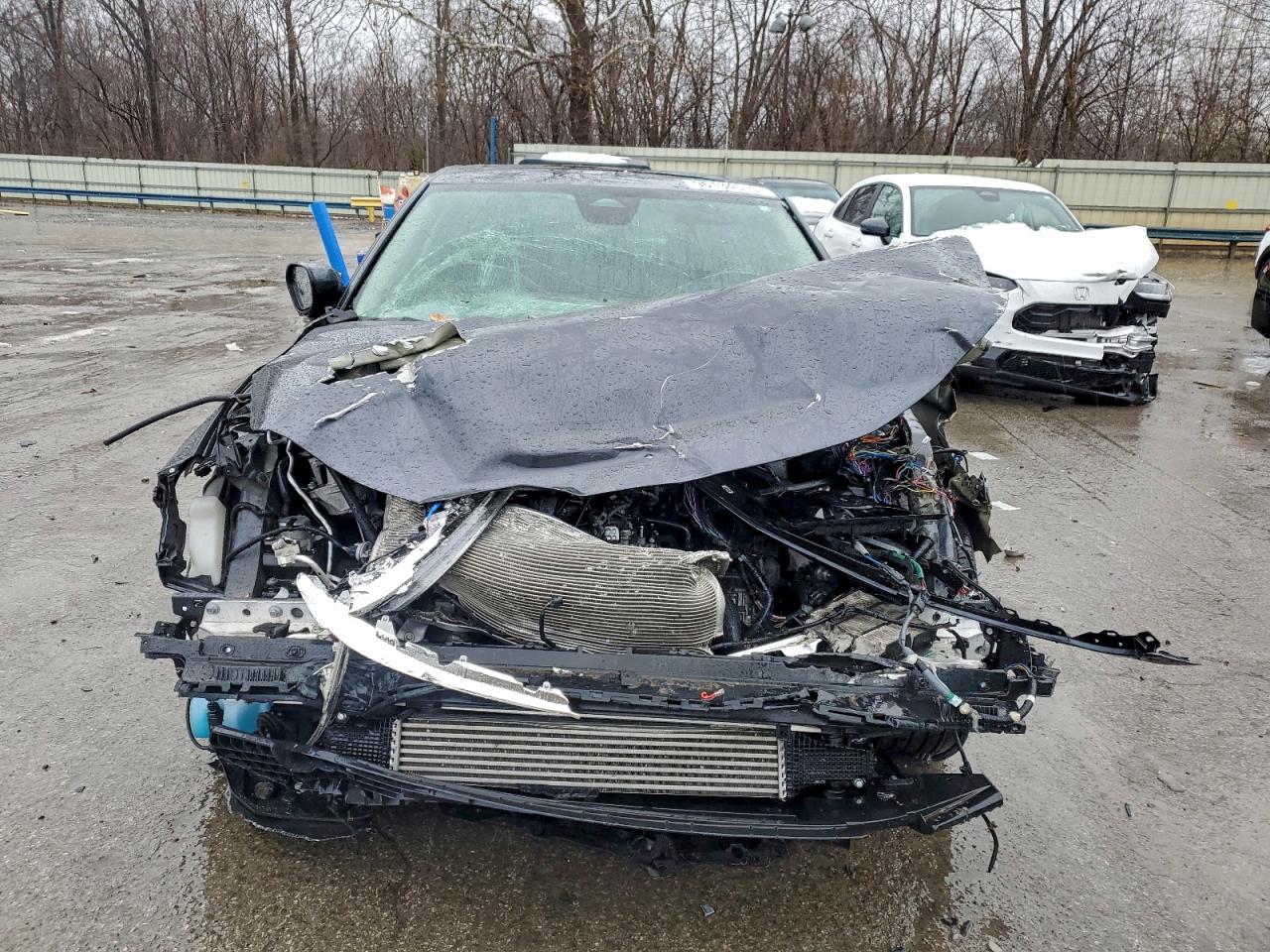 Honda Civic Exl Image 6