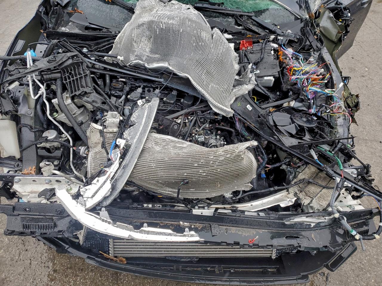 Honda Civic Exl Image 7