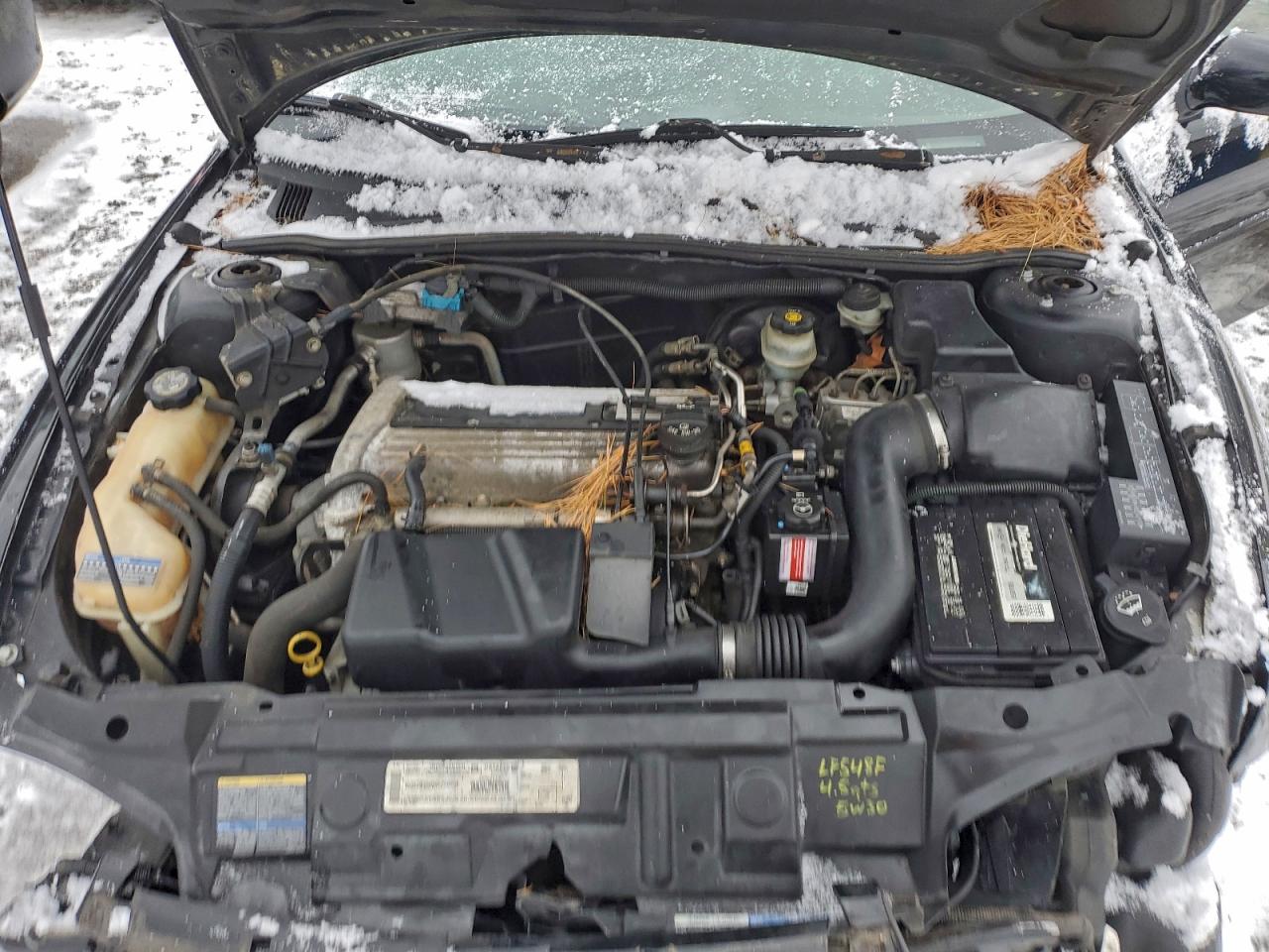 Chevrolet Cavalier Ls Sport Image 7