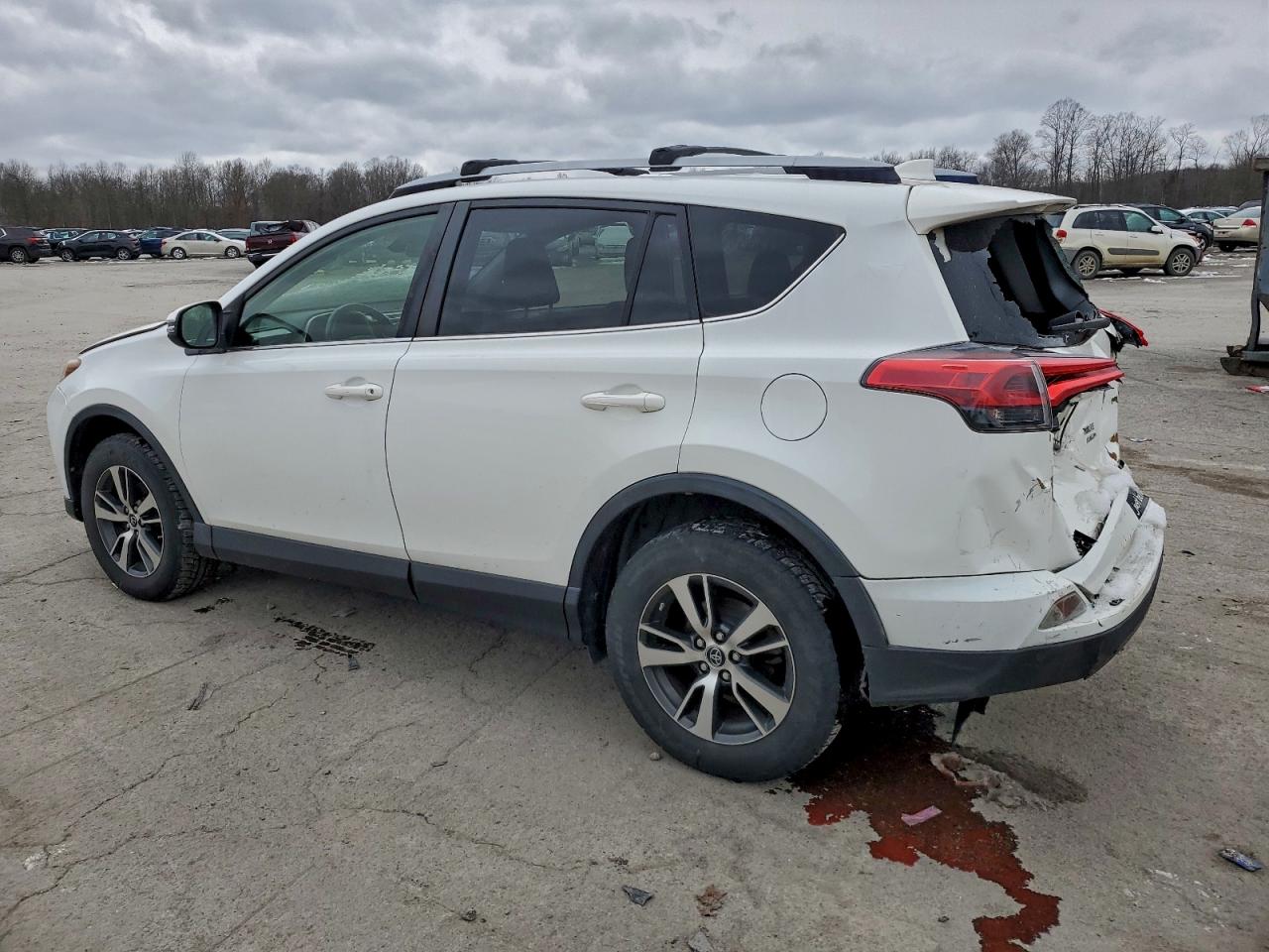 Toyota RAV4 Adventure Image 12