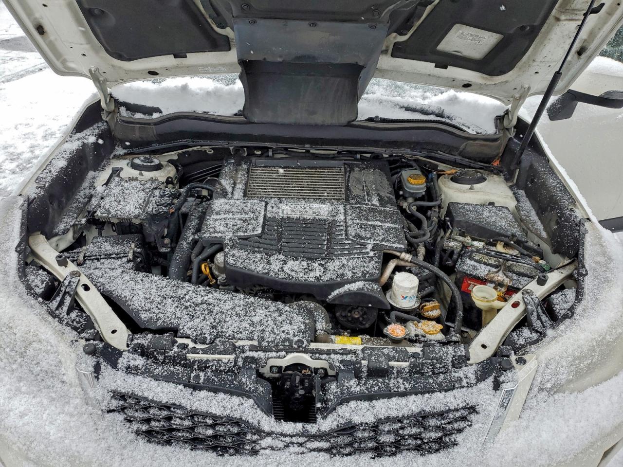 Subaru Forester 2.0xt Touring Image 10