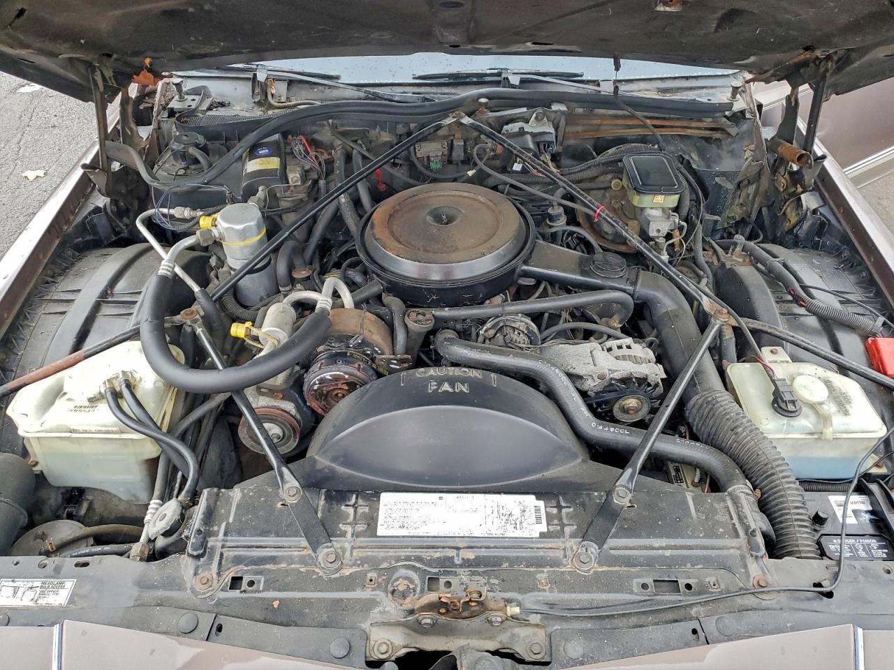 Cadillac Brougham Image 9