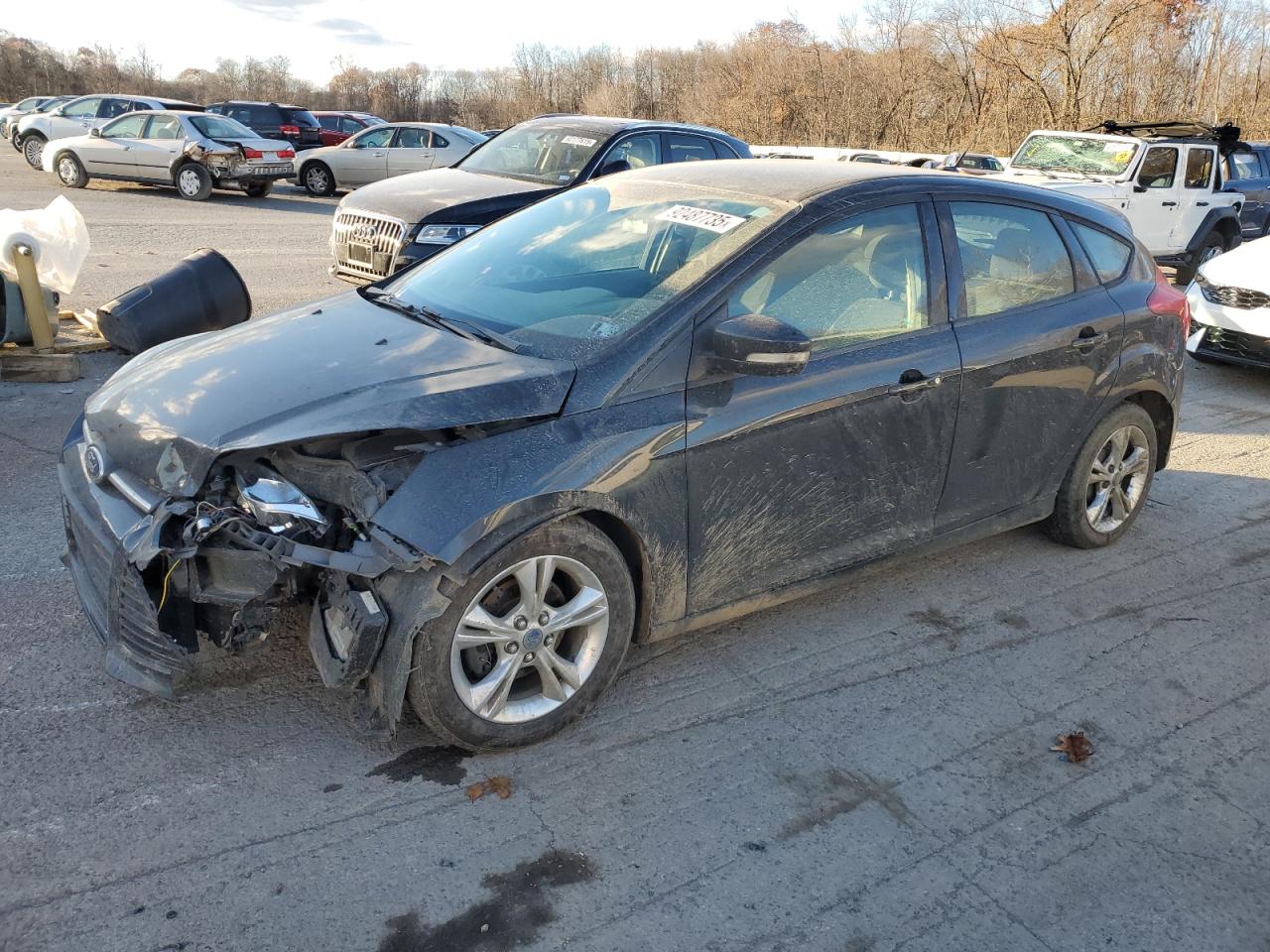 Ford Focus Se Image 1